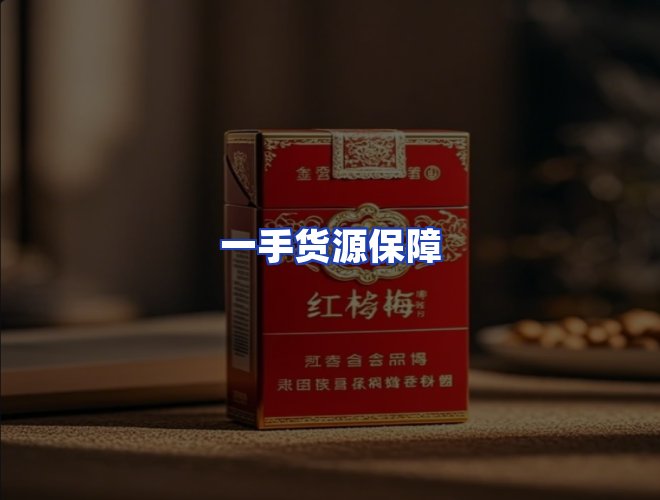 专业团队